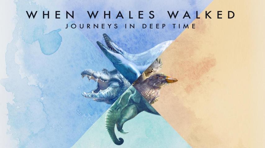 مشاهدة فيلم When Whales Walked: Journeys in Deep Time (2019) مترجم