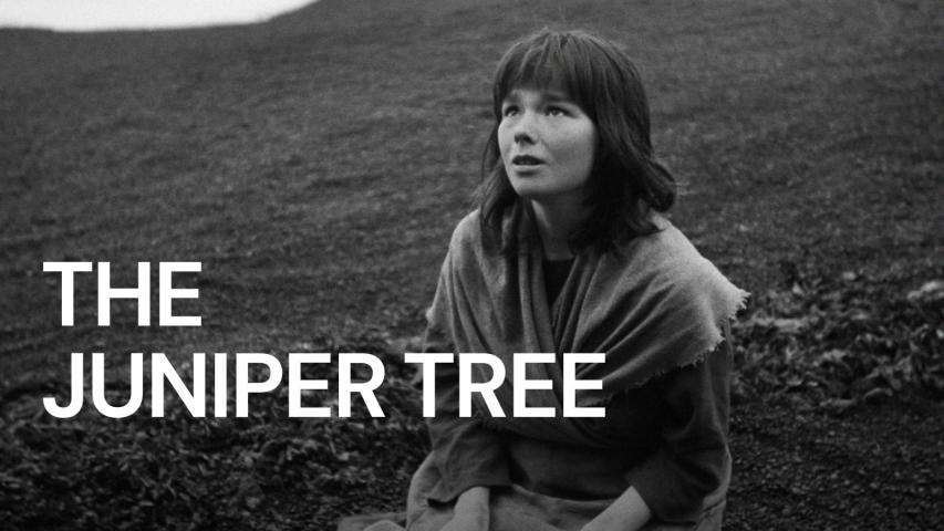 مشاهدة فيلم The Juniper Tree (1990) مترجم